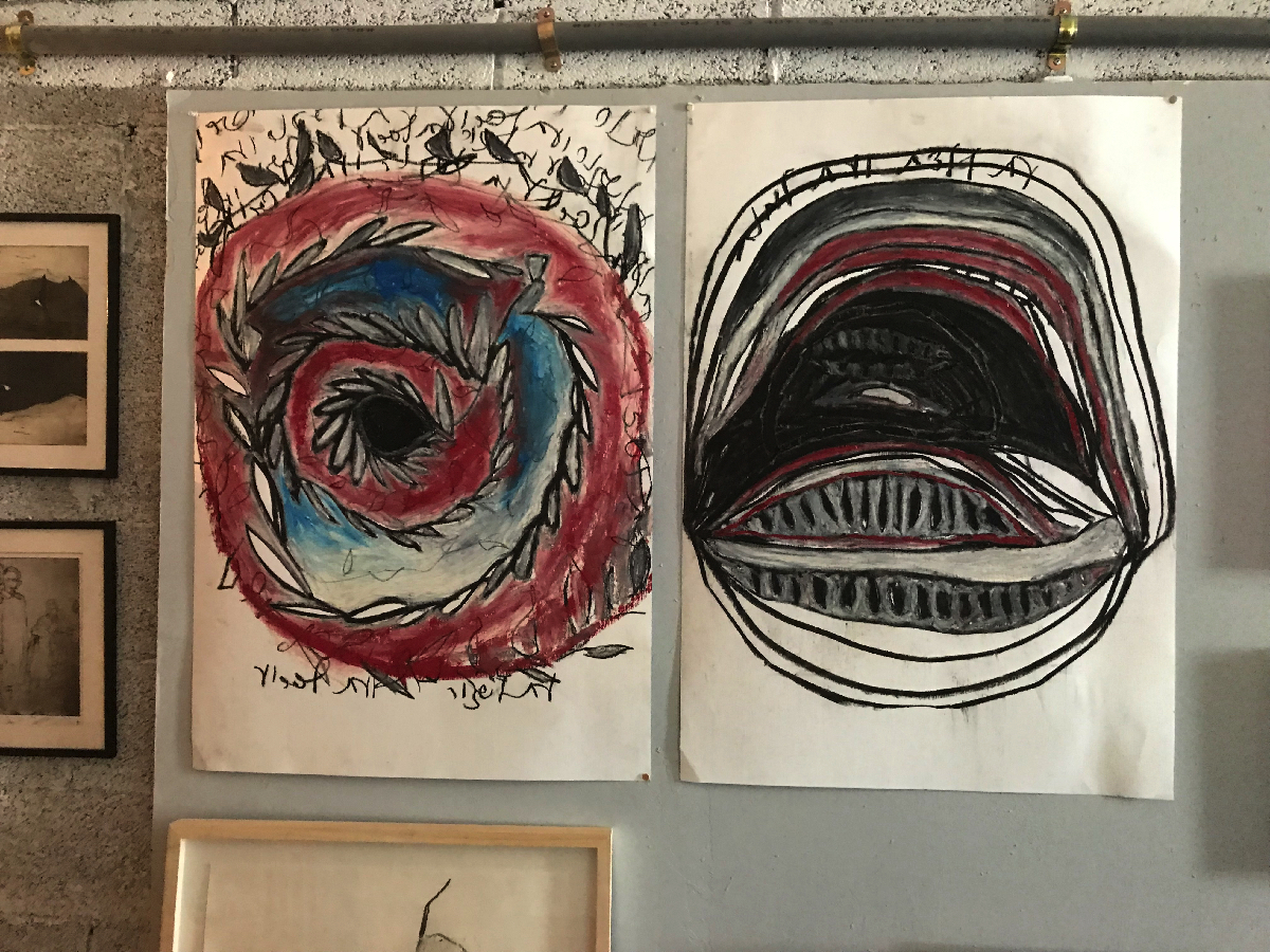 Img 0486